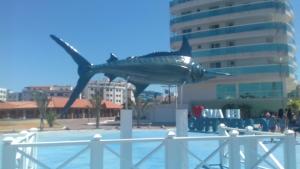 Quartos Praia do Foguete Cabo Frio