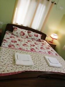 shirleys guest house