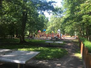 Apartament przy Parku