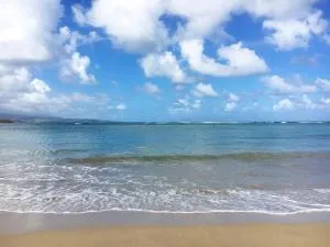 Le Désircaraïbe - Тартан