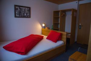 Single Room room in Hotel Wetterhorn
