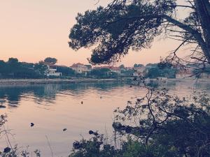 Apartmani Villa Dragica