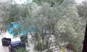 Villa Carolina - Vabriga