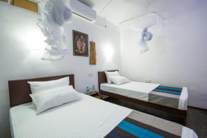 Udawatta Kele (UK) Forest Lodge