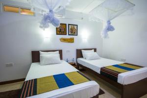 Udawatta Kele (UK) Forest Lodge