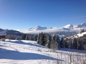 Appart'hotels La Ferme des Georgieres 