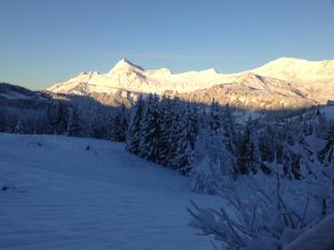 Appart'hotels La Ferme des Georgieres 