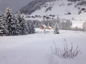 Appart'hotels La Ferme des Georgieres : photos des chambres