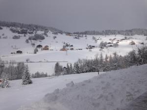 Appart'hotels La Ferme des Georgieres : photos des chambres