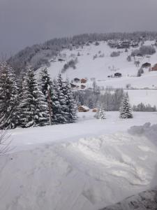 Appart'hotels La Ferme des Georgieres : photos des chambres