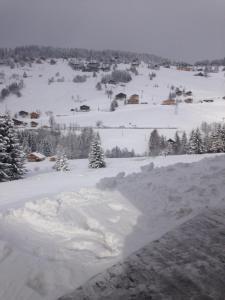 Appart'hotels La Ferme des Georgieres 