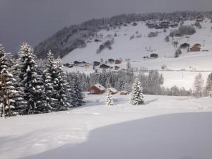 Appart'hotels La Ferme des Georgieres 