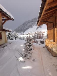 Appart'hotels La Ferme des Georgieres : photos des chambres