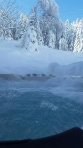 Le chalet de Valentine photo 9