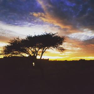 Riad Les Jardins de Tafraoute