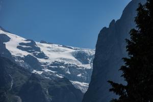 Ferienwohnung Hirschen