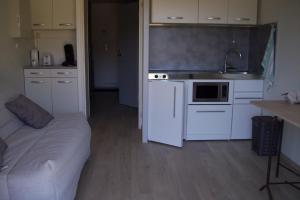 Apartamento Bel appart modern au pied du grand Veymont Gresse-en-Vercors Francia