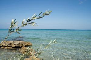 Amboula Beach Apartments Zakynthos Greece