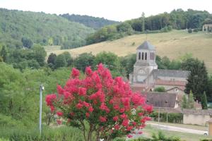 B&B / Chambres d'hotes Le jardin des paons : photos des chambres