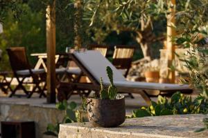 Robinson House Nicolina