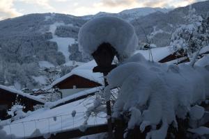 Apartment Christine Wagrain Austria J2ski