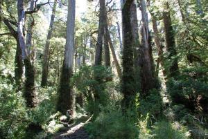 Hosteria Catalina sm