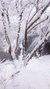 Guest House Waterfall Parnassos Greece