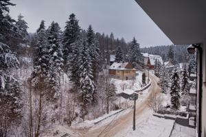 Apartamenty Sun Snow Zielona