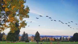 AnnArthur Guest House