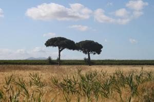 Agriturismo San Luigi