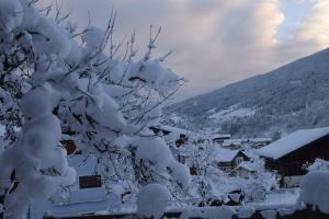 Apartment Christine Wagrain Austria J2ski