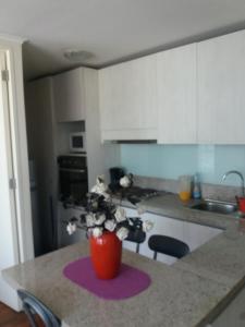 Departamento Viña del Mar Viana