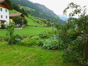 Ferienwohnungen Auhaus