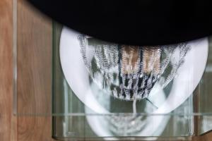 PARKING, AC, 2 Bedroom design flat in the center