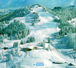 Appartement Bergkristall