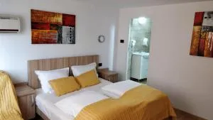 赛吉欧基尼娜旅馆 - Vladimirescu