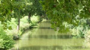 Les Hirondelles