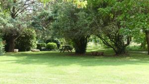Les Hirondelles