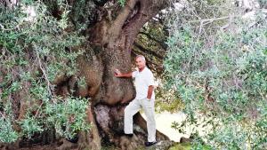 Appartamento del Cardellini img21