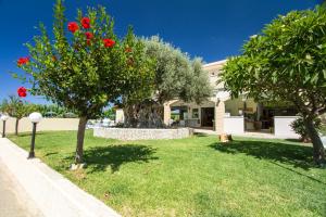 Mediterranean Hotel Studios Apartments Chania Greece