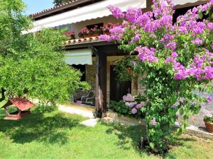 Studio Apartment Paljar