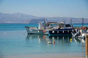 Naxos Rock Villas Naxos Greece