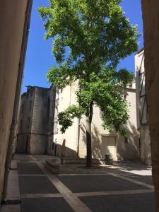 Appartements Appt 2 a 4 pers - La Rochelle Vieux Port : photos des chambres