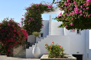 Astir Of Paros Paros Greece