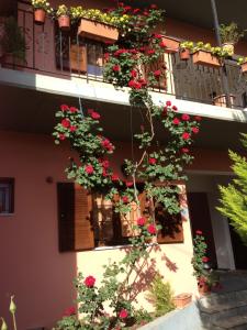 Artemis Apartments Epirus Greece