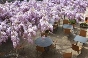 Hotels Logis Hotel la Ferme : photos des chambres