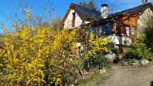 le casino - Saint-Félix-de-Lunel