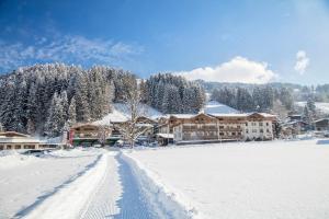 4 star hotell Hotel Elisabeth, 4 Sterne Superior Kirchberg in Tirol Austria