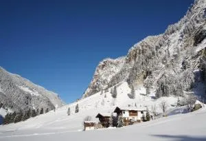 Apartment Bergblick - 金兹灵