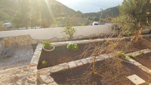 Punta Speranza img20